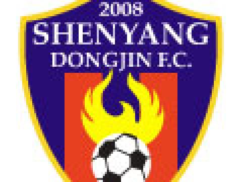 沈阳东进推出2010新款队徽
