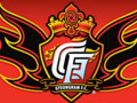 庆南FC新队徽及2010赛季主客场球衣