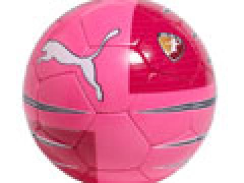 美国女足职业联赛粉色慈善足球