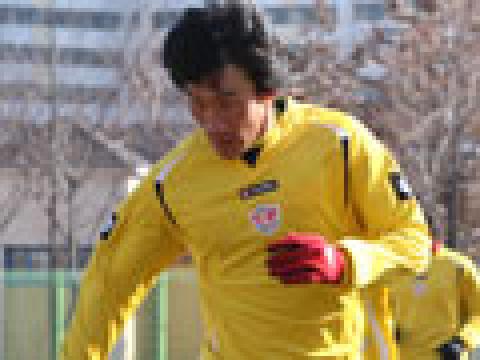 城南一和天马2010赛季主场球衣