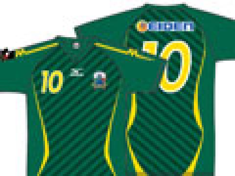 岐阜FC 2012赛季主客场球衣