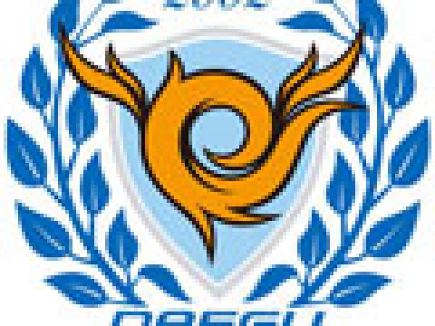 大邱FC公布新队徽