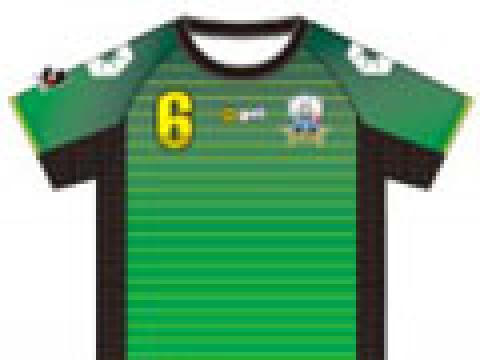 岐阜FC 2013赛季主客场球衣