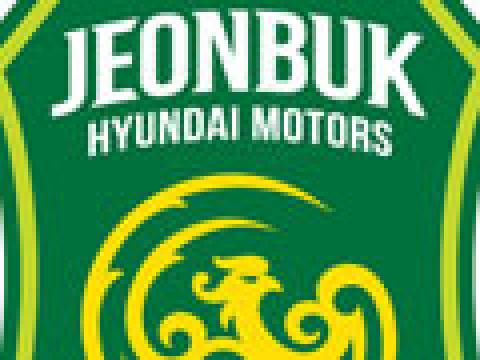 全北现代汽车2013新队徽