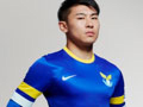大连阿尔滨2013赛季主场球衣
