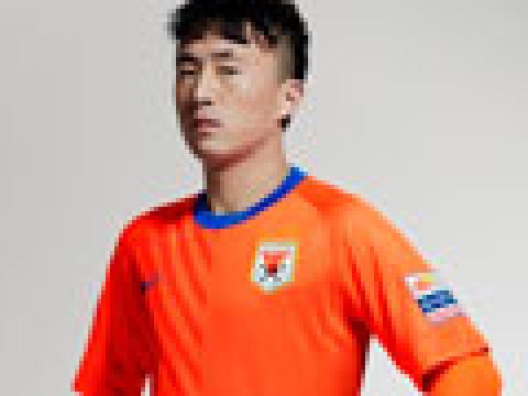 山东鲁能2013赛季主场球衣